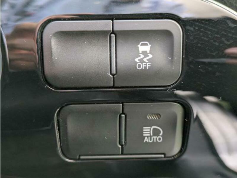 PRIUS-13