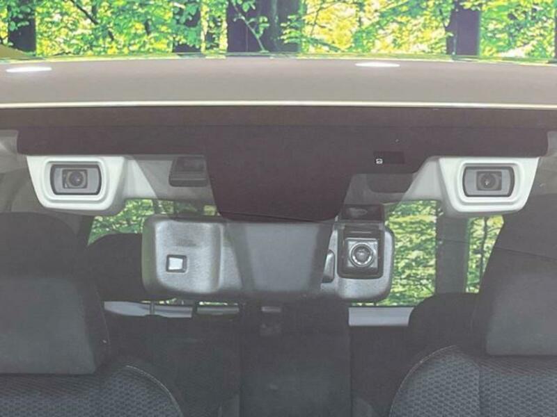 FORESTER-4
