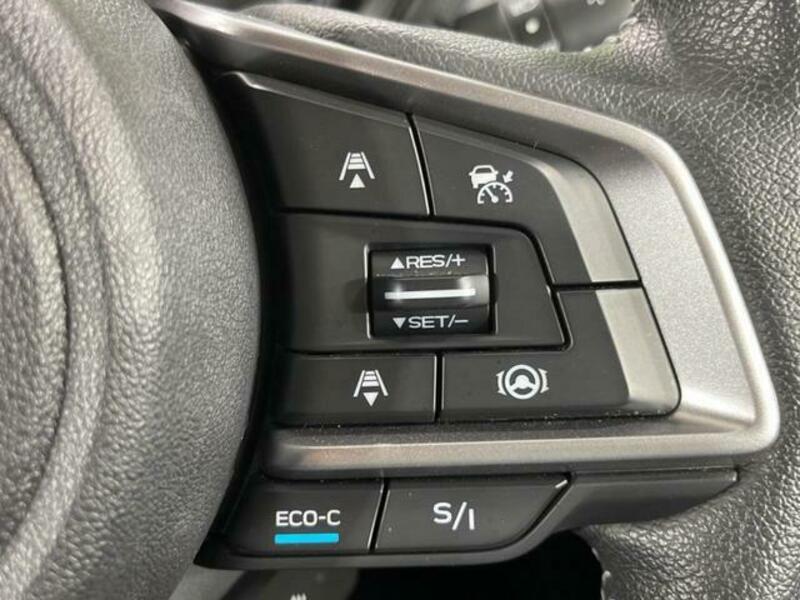 FORESTER-5