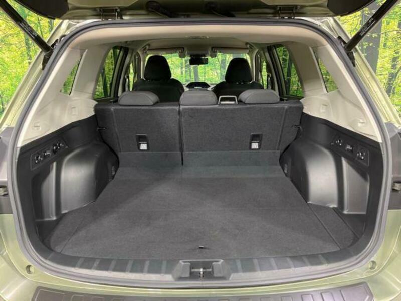 FORESTER-9