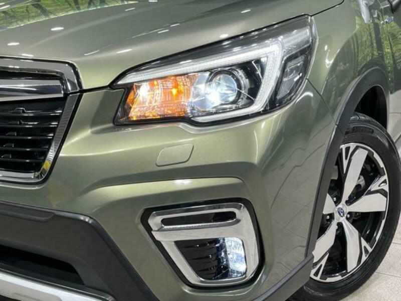 FORESTER-11