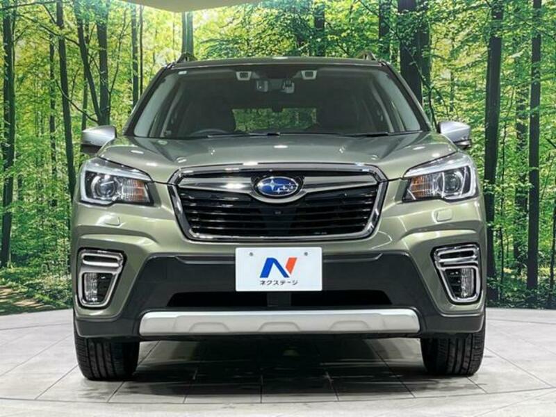 FORESTER-13