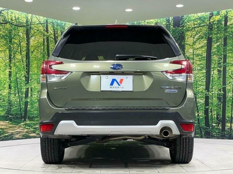 FORESTER-14