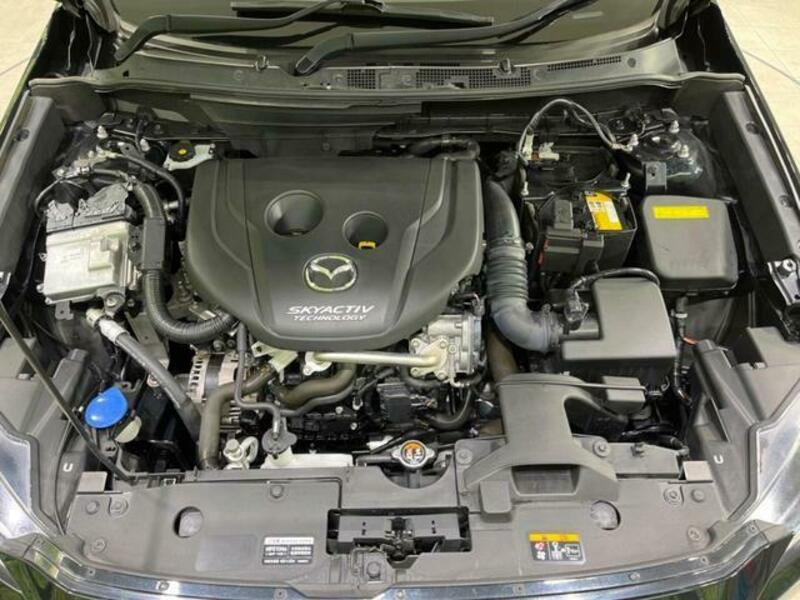 CX-3-17