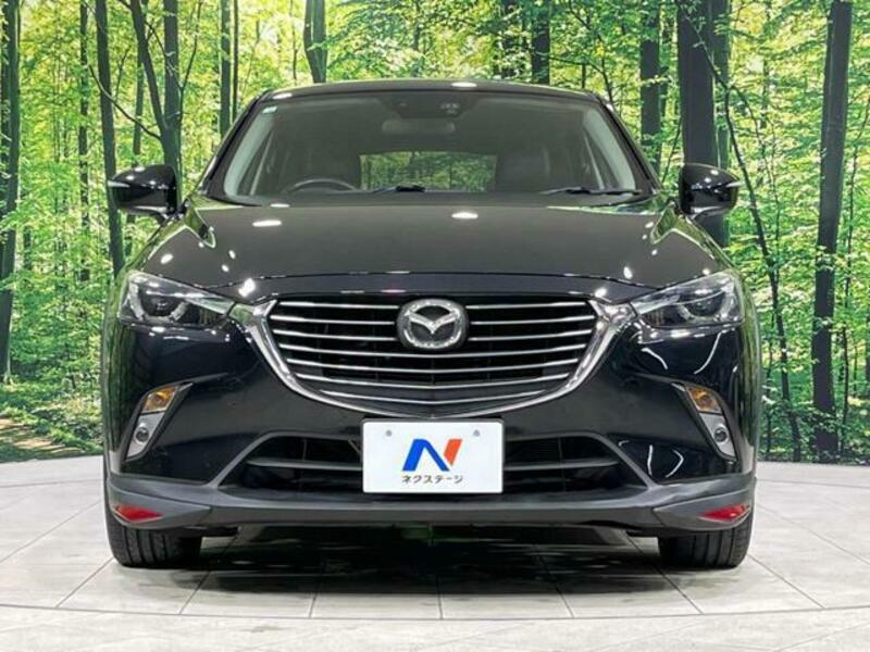 CX-3-13