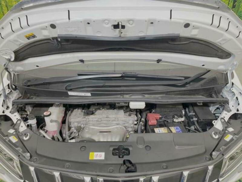ALPHARD-19
