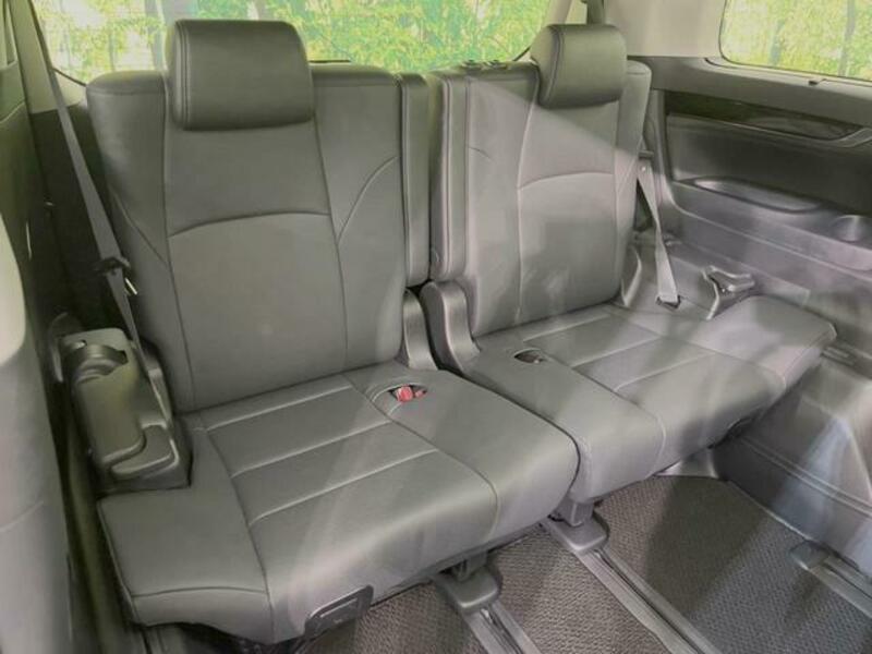 ALPHARD-10