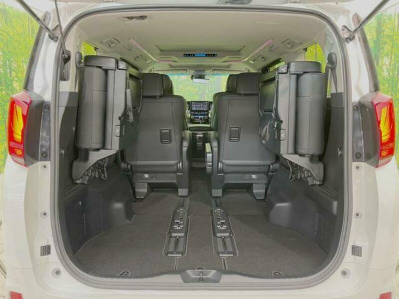 ALPHARD-11