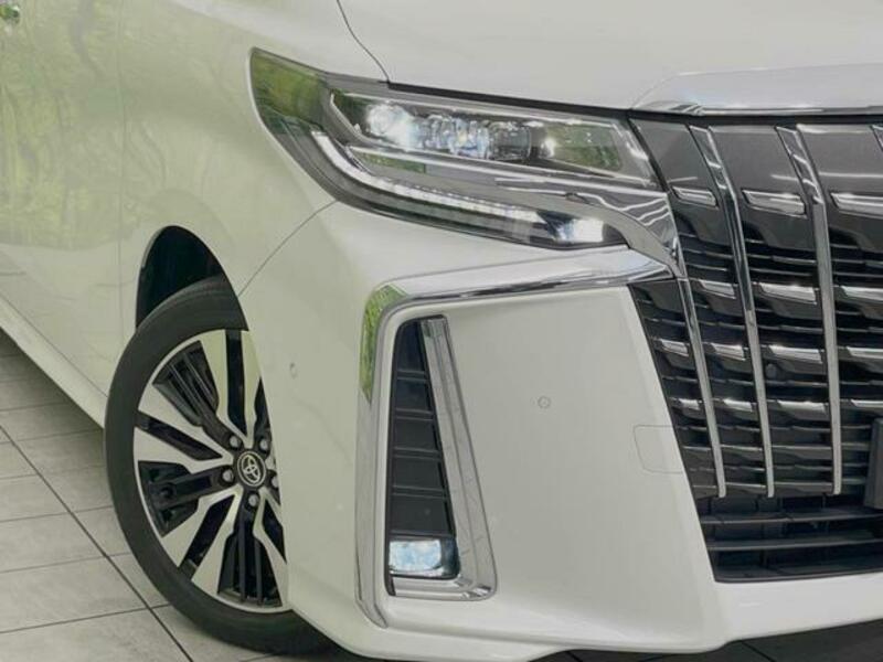 ALPHARD-13