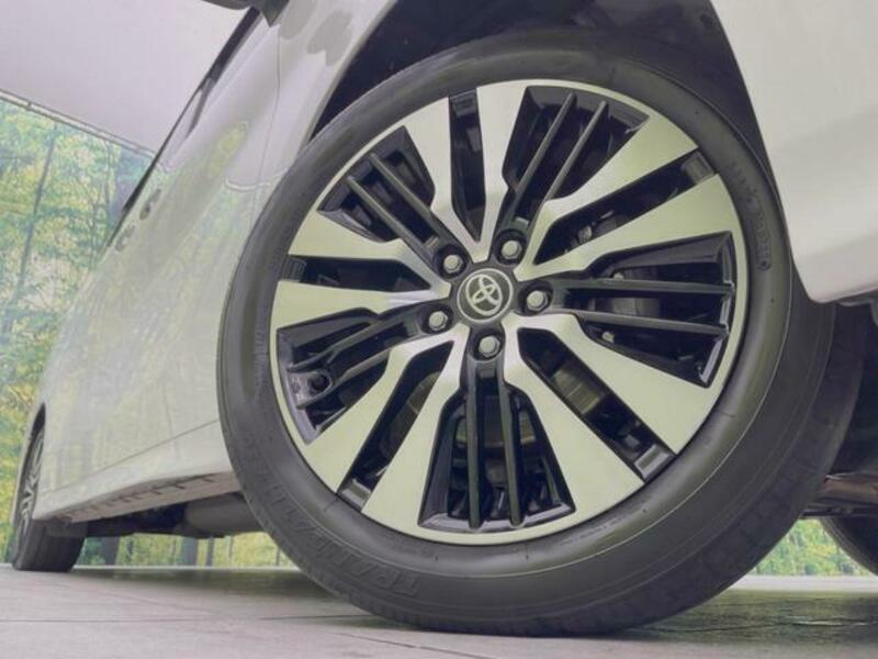 ALPHARD-14