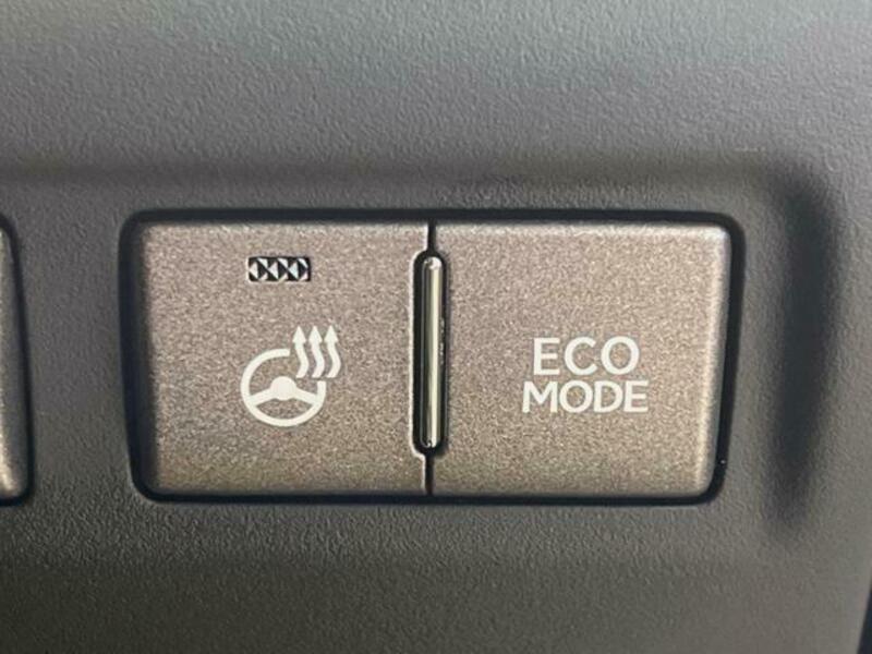 LS