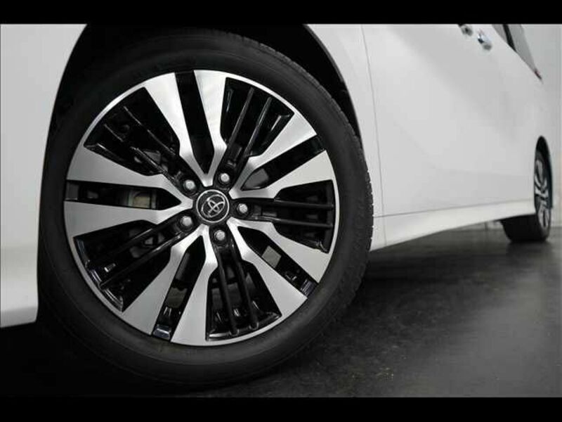 ALPHARD-3
