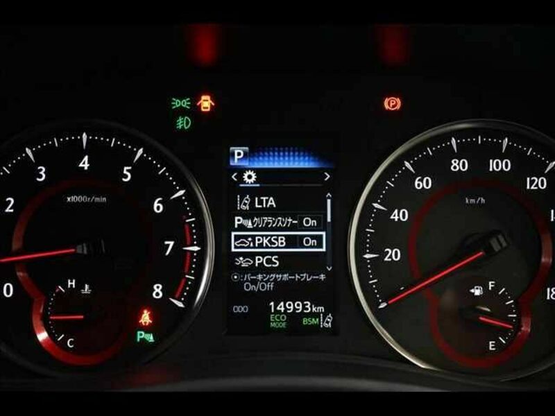 ALPHARD-6