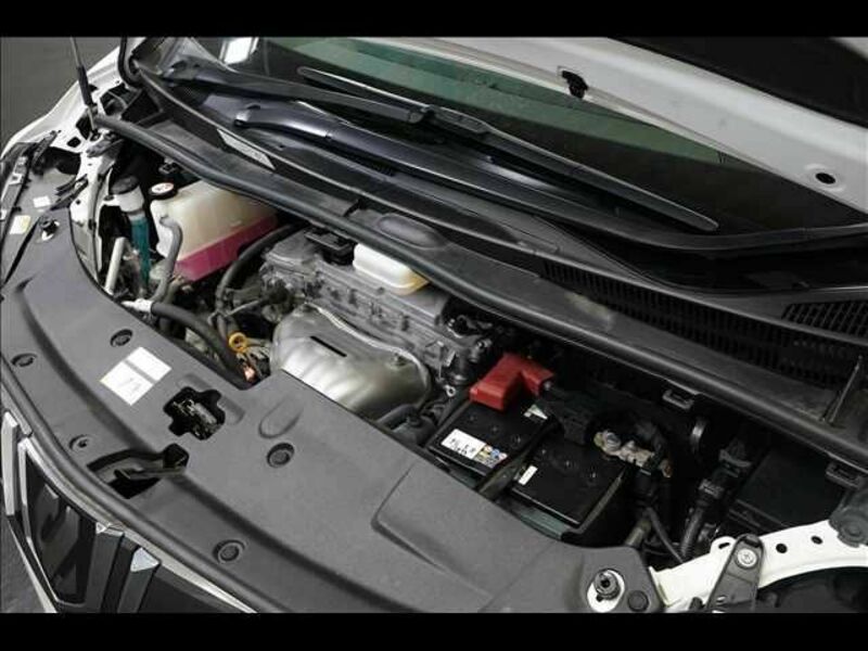 ALPHARD-19