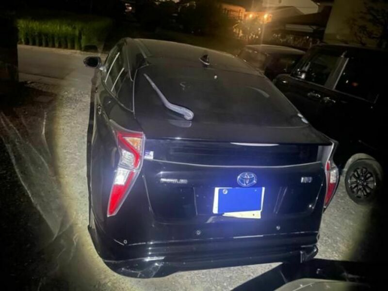 PRIUS-8