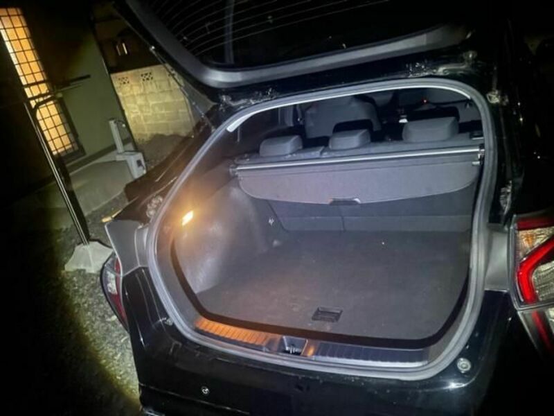 PRIUS-11