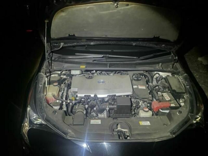 PRIUS-13