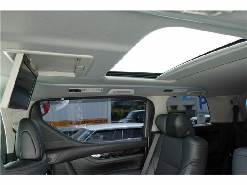 ALPHARD-21