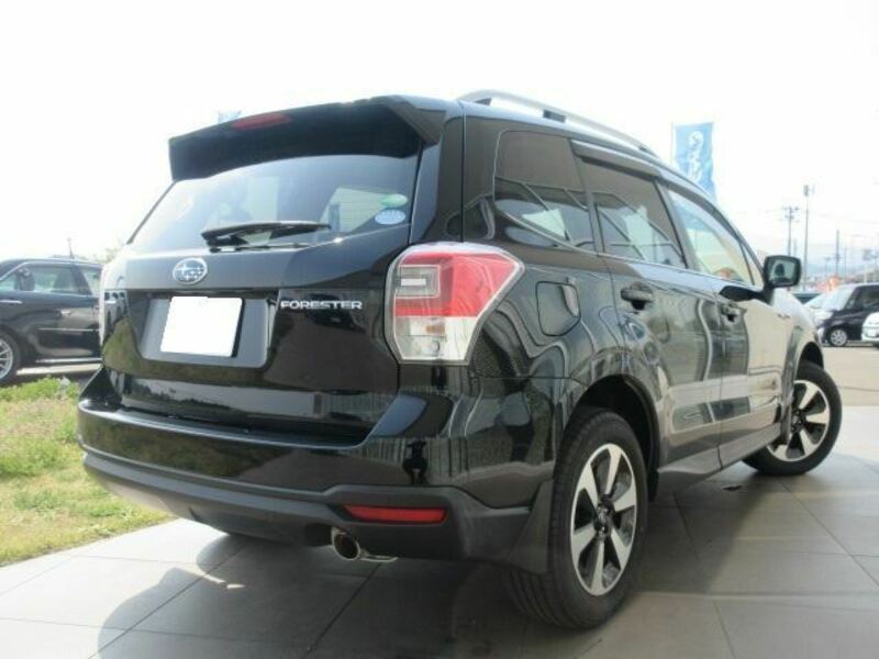 FORESTER-1