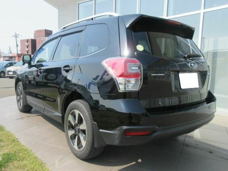 FORESTER-3