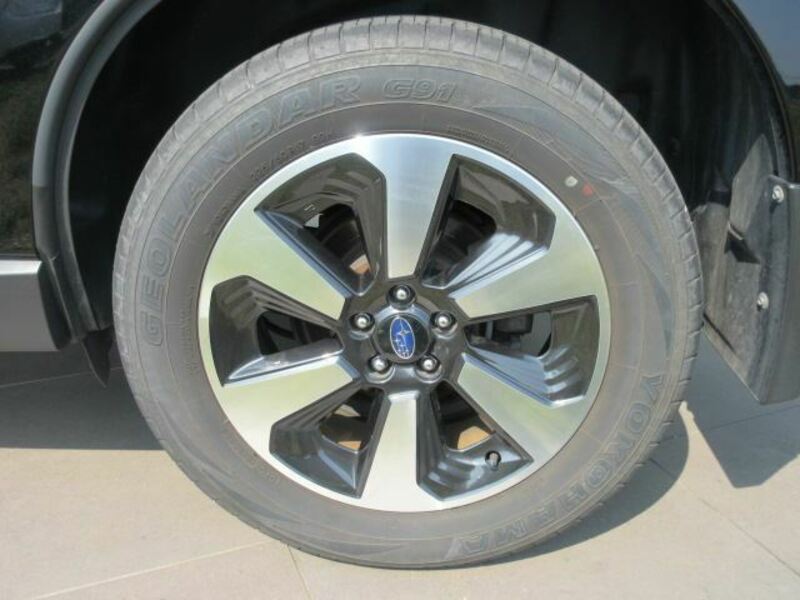 FORESTER-4