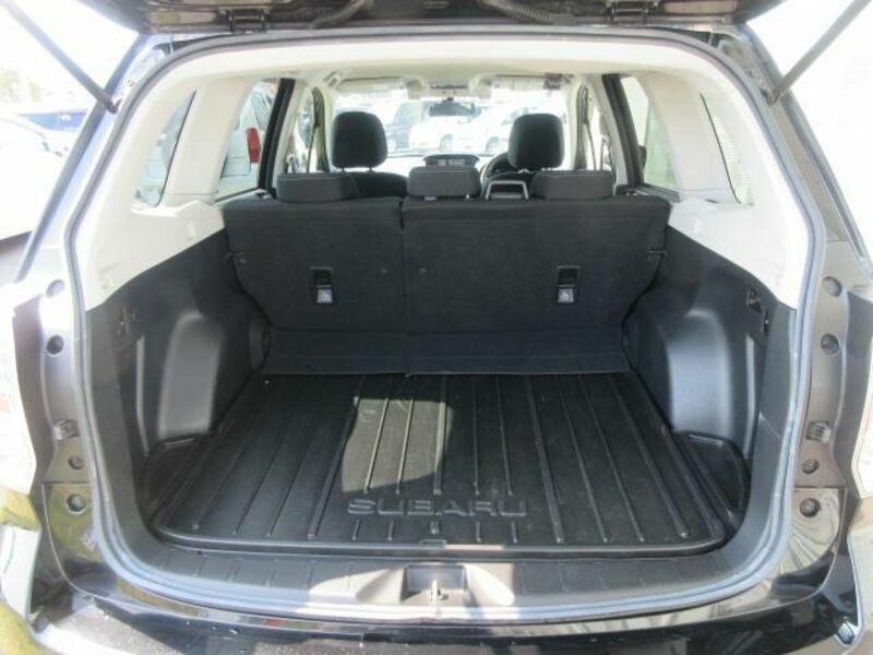 FORESTER-9