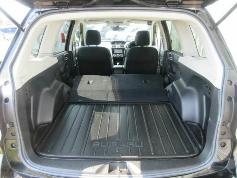 FORESTER-10