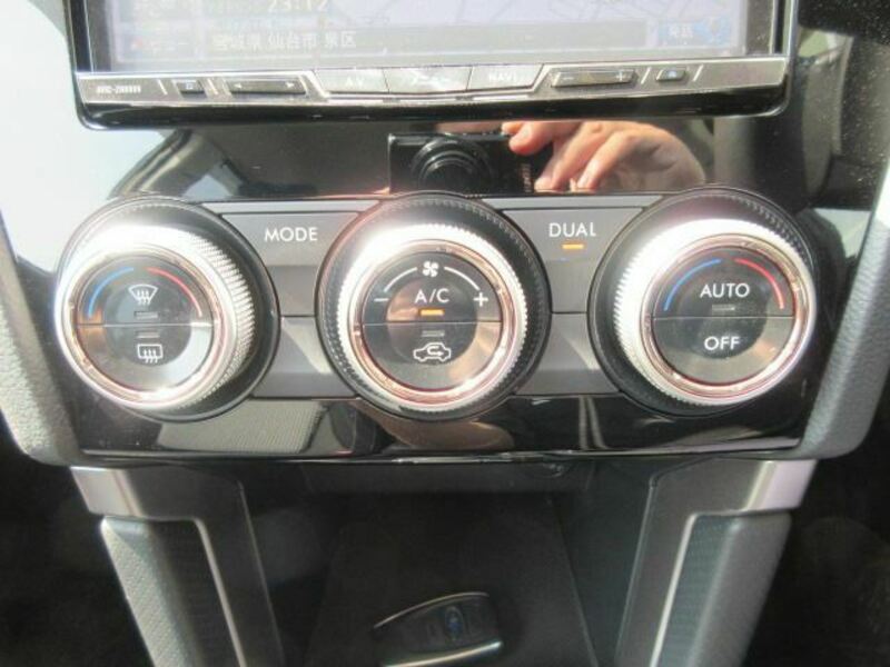 FORESTER-13