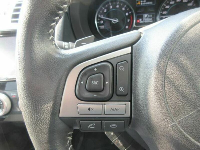 FORESTER-16