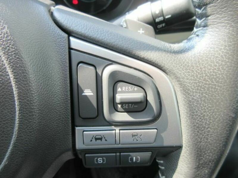 FORESTER-17