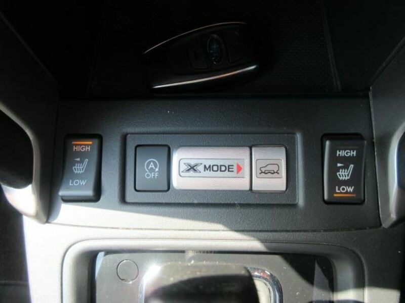 FORESTER-20