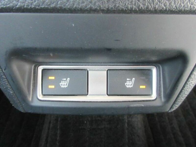 FORESTER-21