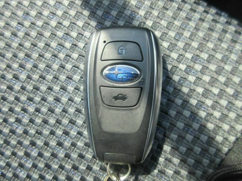 FORESTER-25
