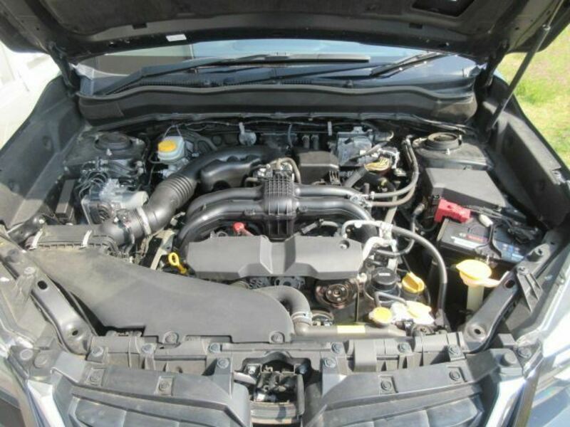 FORESTER-27