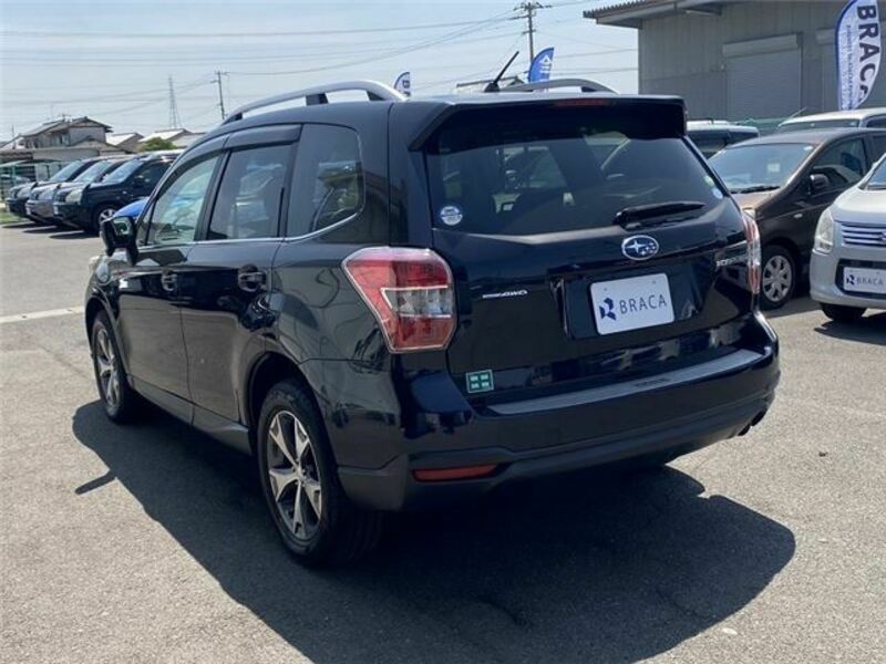 FORESTER-1