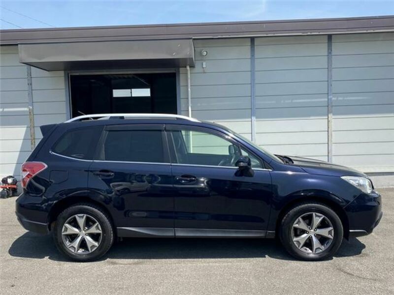 FORESTER-6