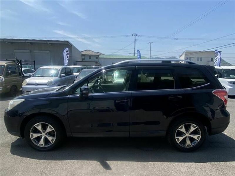 FORESTER-7