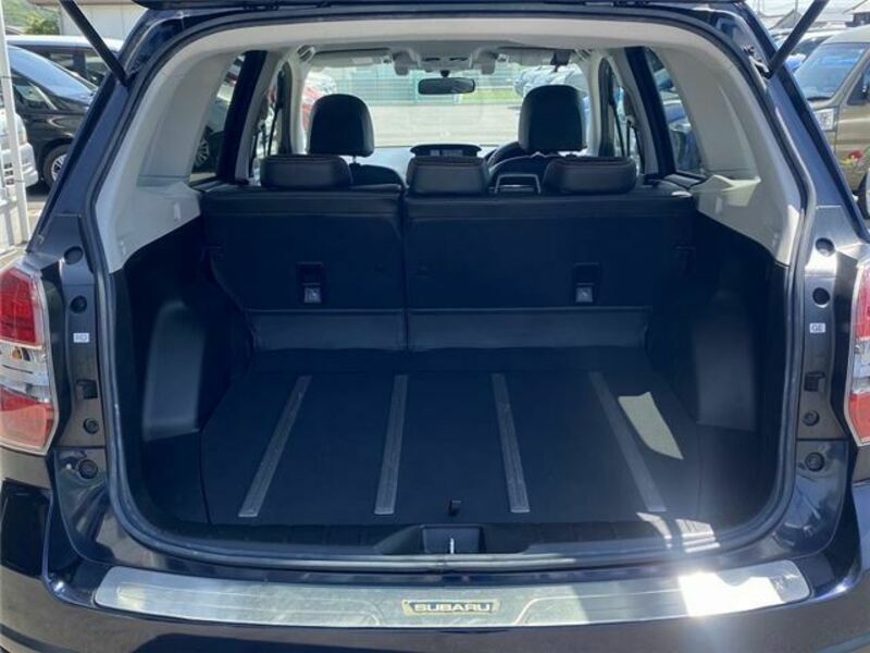 FORESTER-8