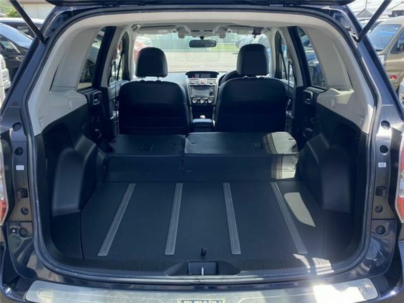 FORESTER-9