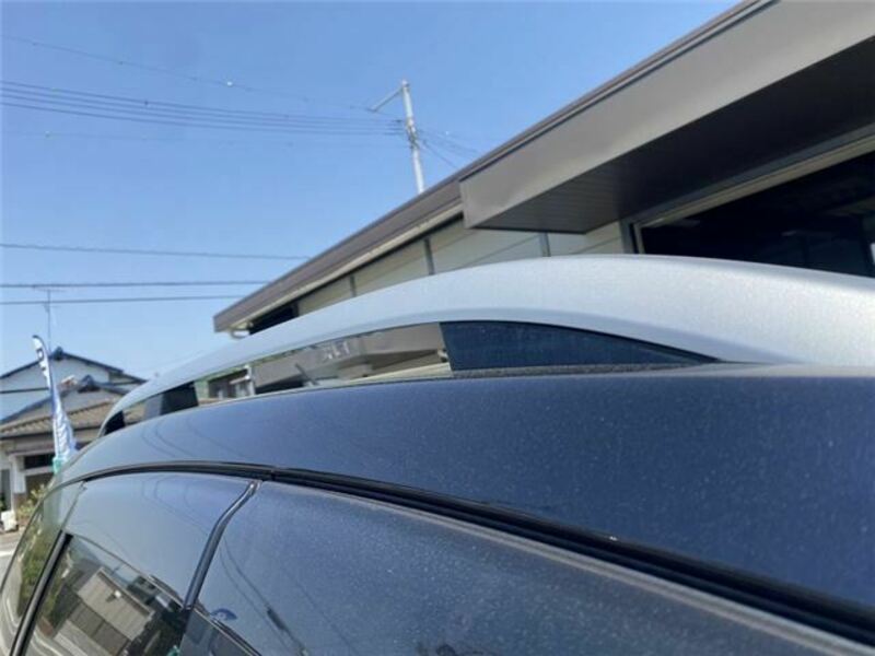 FORESTER-29