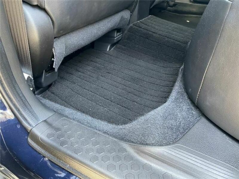 FORESTER-35