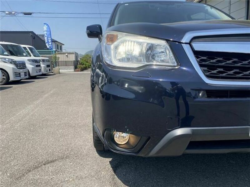 FORESTER-38