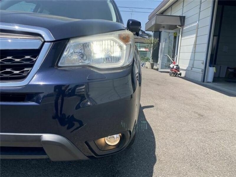 FORESTER-39