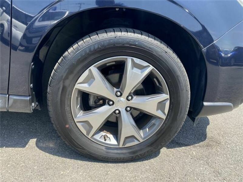FORESTER-40