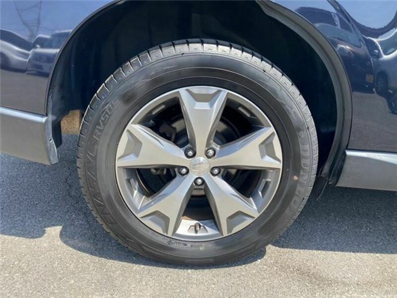 FORESTER-41