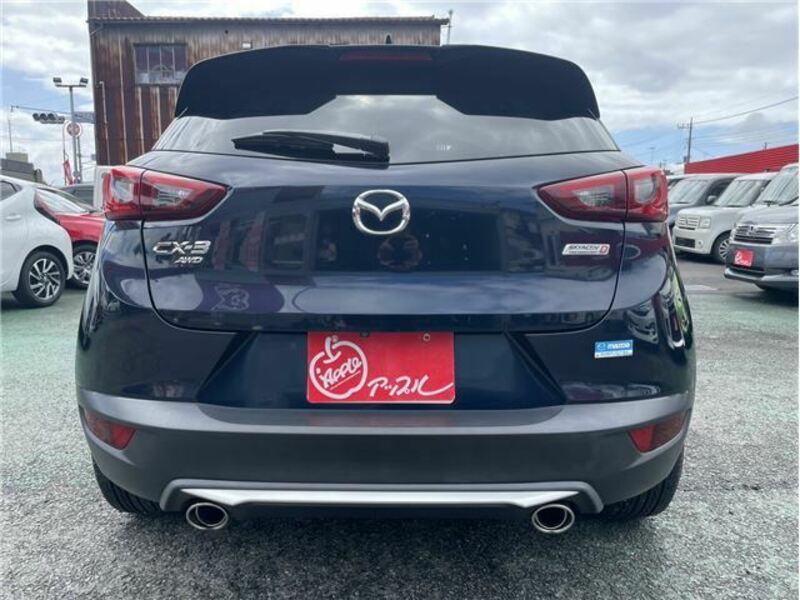 CX-3-1