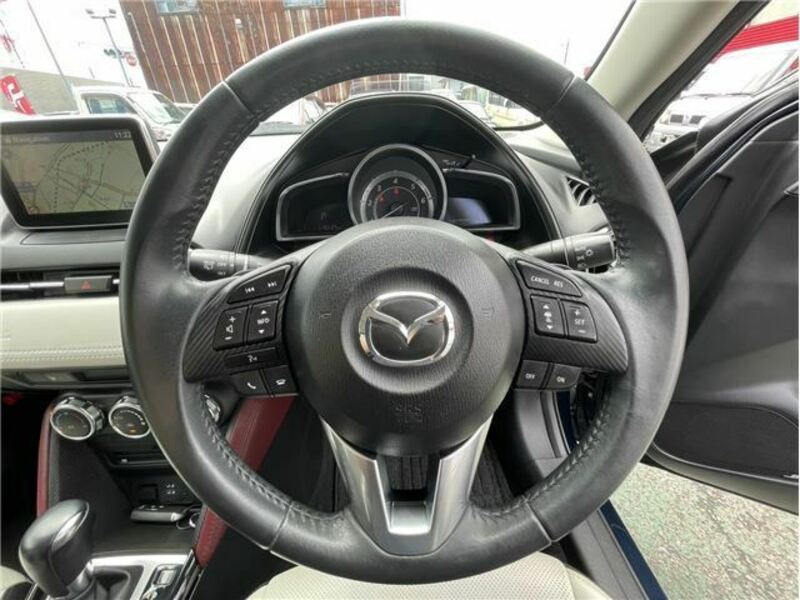 CX-3-10