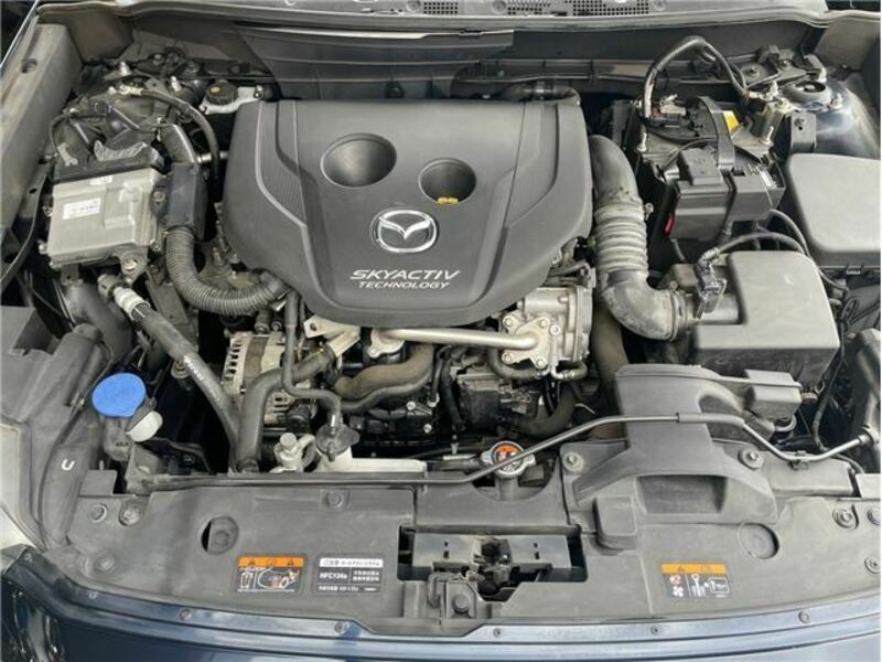CX-3-43