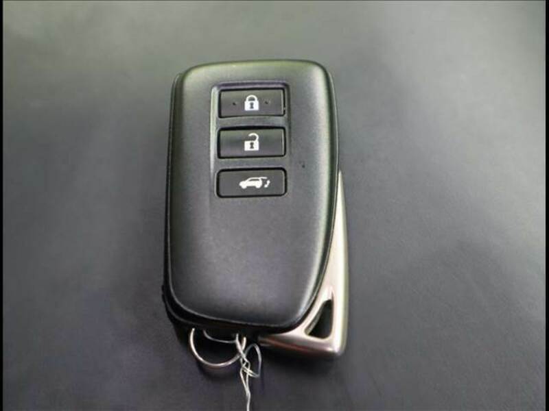 LX