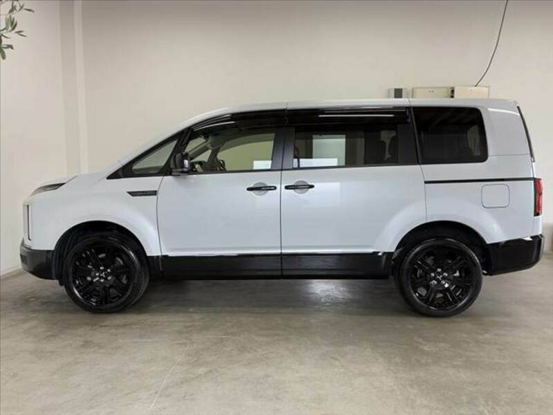DELICA-11